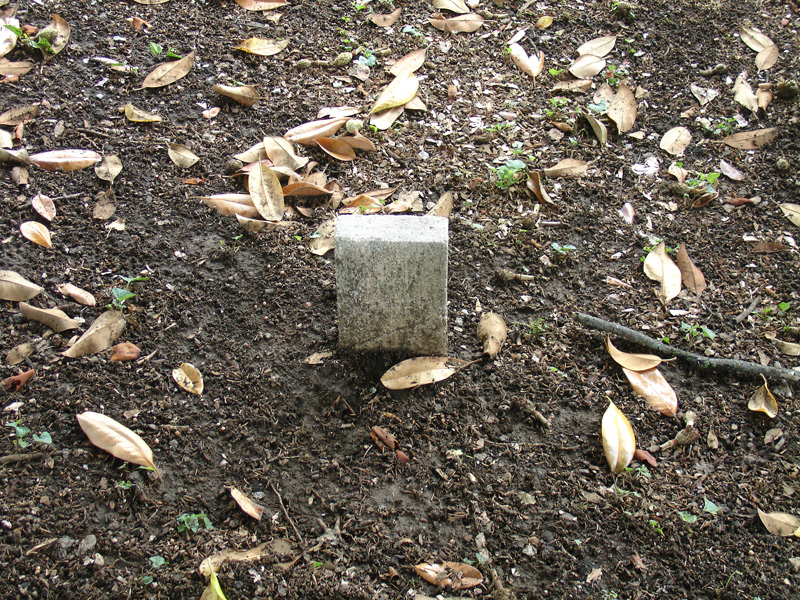 inscryption tombstone puzzle inscryption tombstone puzzle