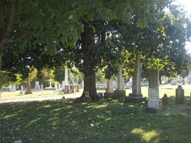 Cemetery View